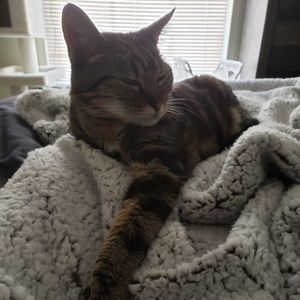 Meet your Posher, Lori